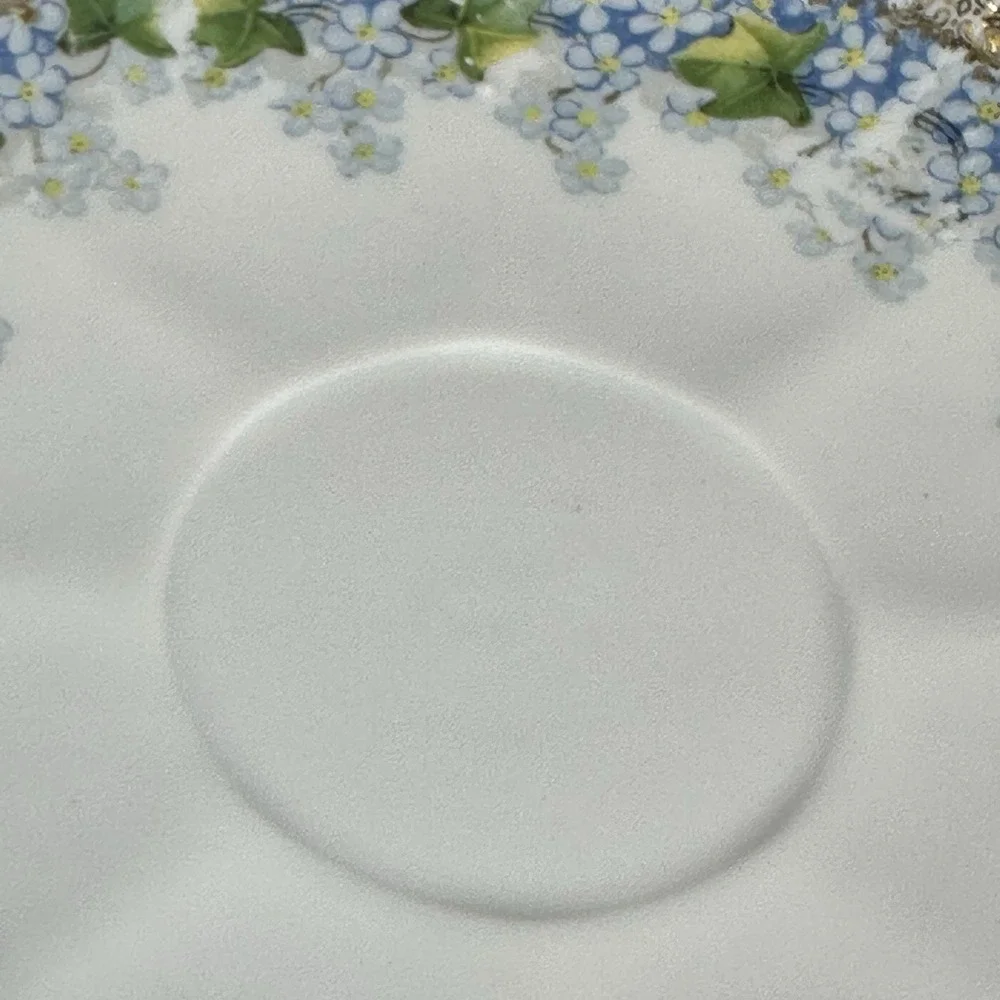 Forget-Me-Not Tea cup Saucer Translucent Fine Porcelain Gold Filigree Ivy ANTQ